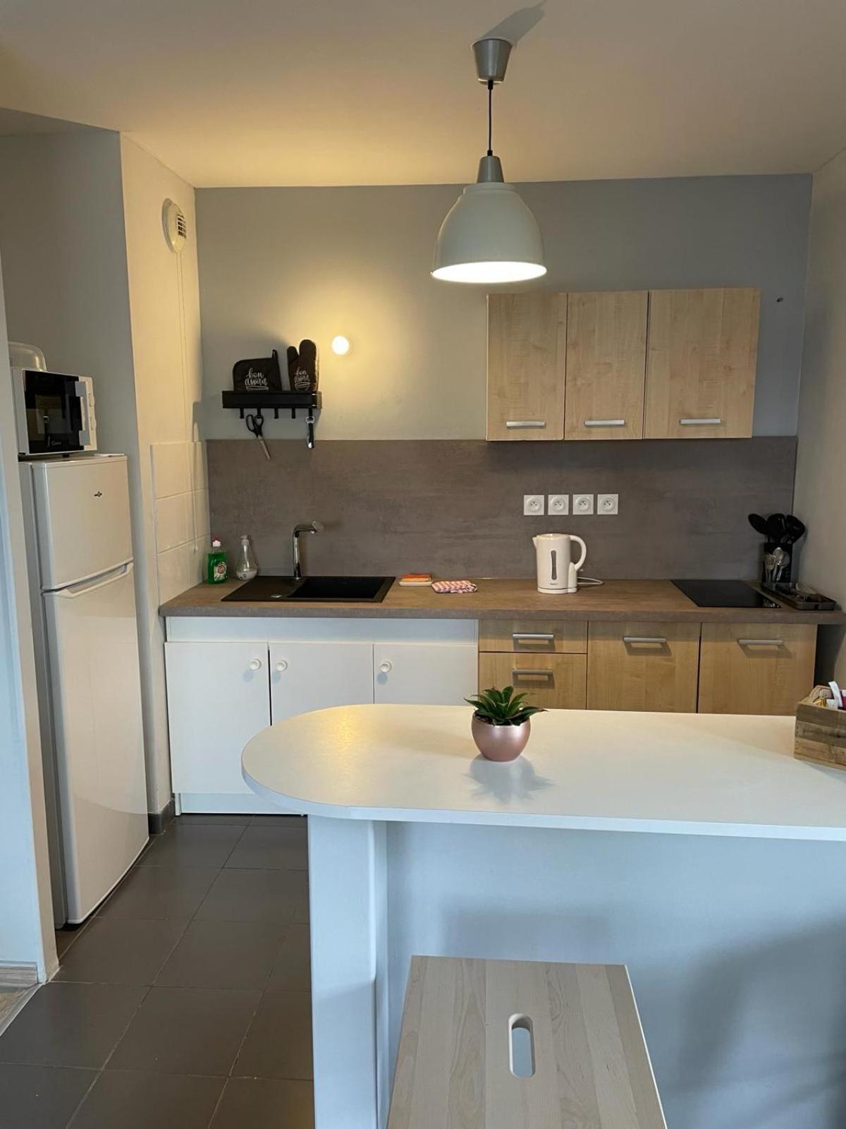 Appartement 2 Chambres Avec Terrasse Et Garage Saint-Andre-lez-Lille المظهر الخارجي الصورة
